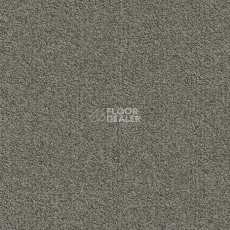 Ковровая плитка Modulyss Millennium Nxtgen Millennium Nxtgen 817 фото 1 | FLOORDEALER